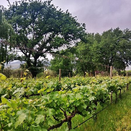 Cabernet Cottage Be Still And Know Franschhoek Εξωτερικό φωτογραφία
