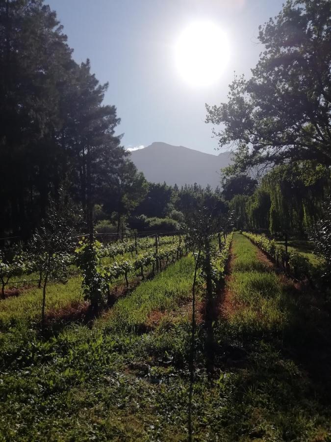 Cabernet Cottage Be Still And Know Franschhoek Εξωτερικό φωτογραφία