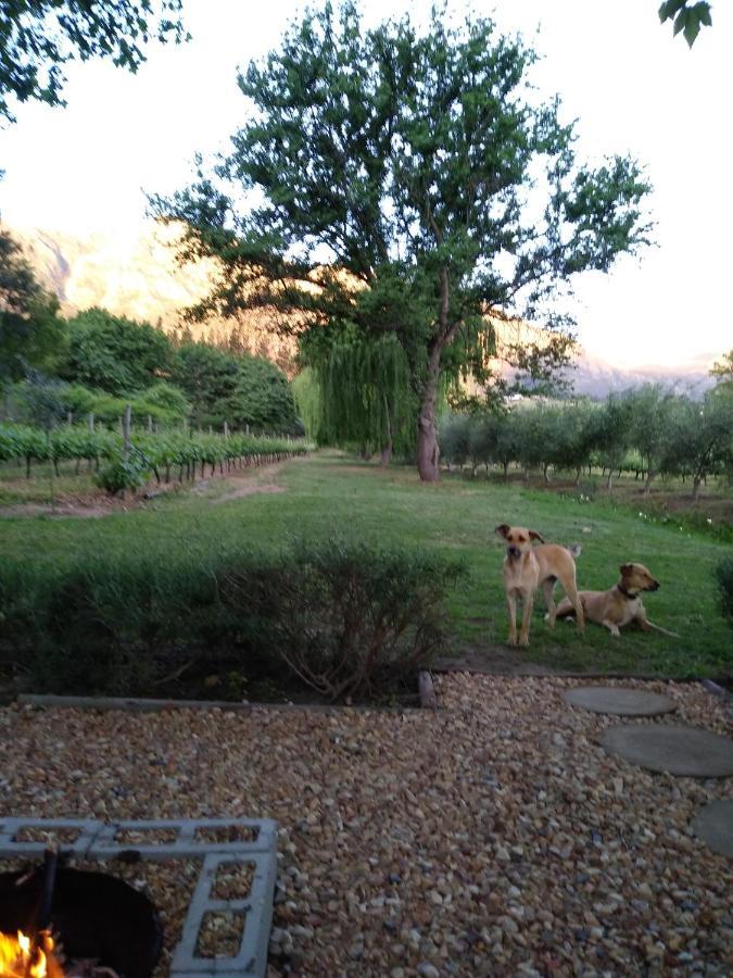 Cabernet Cottage Be Still And Know Franschhoek Εξωτερικό φωτογραφία