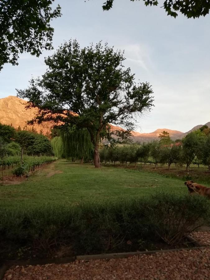 Cabernet Cottage Be Still And Know Franschhoek Εξωτερικό φωτογραφία