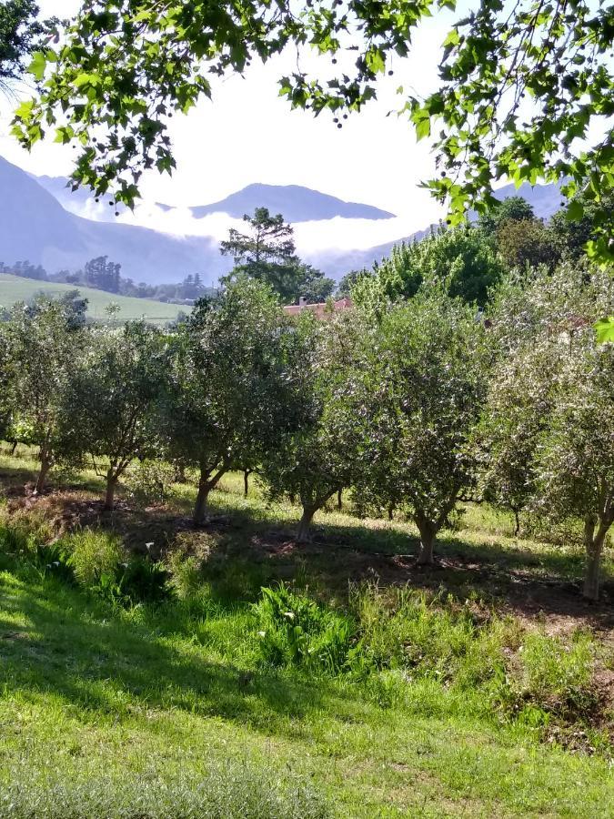 Cabernet Cottage Be Still And Know Franschhoek Εξωτερικό φωτογραφία