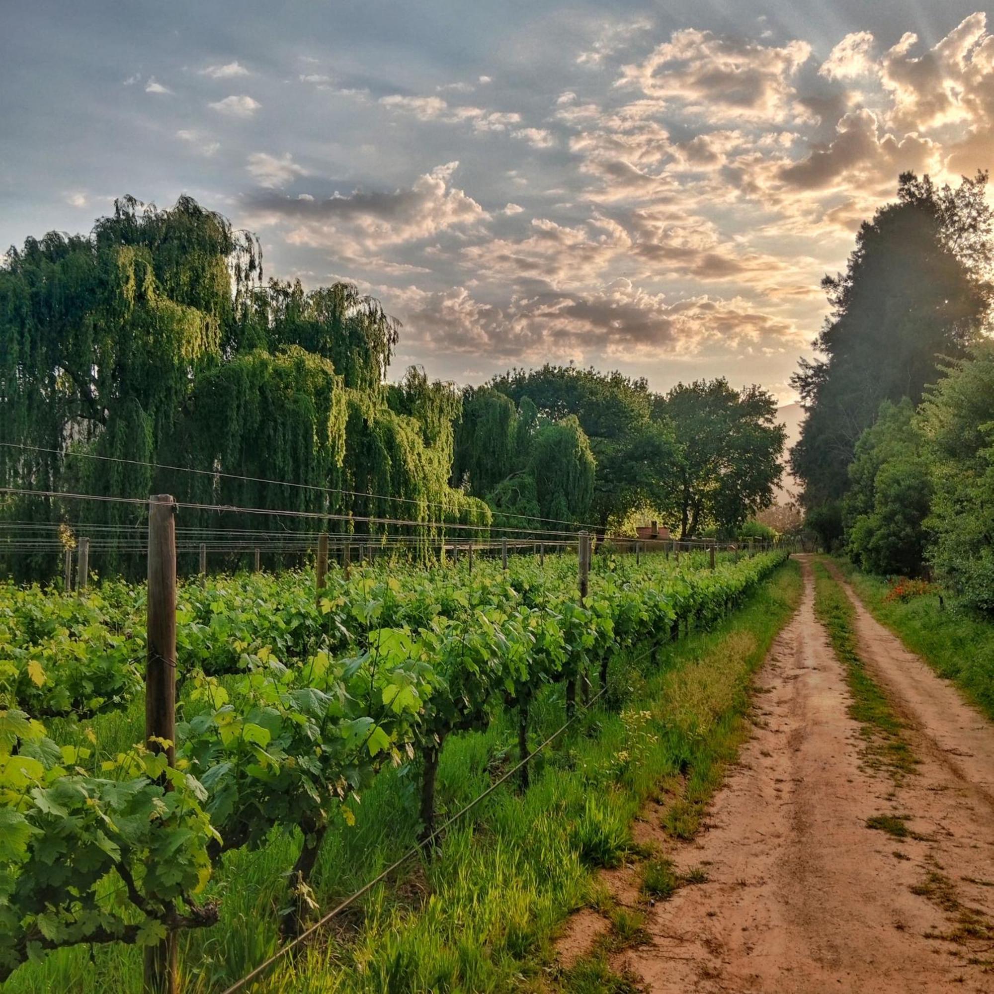 Cabernet Cottage Be Still And Know Franschhoek Εξωτερικό φωτογραφία